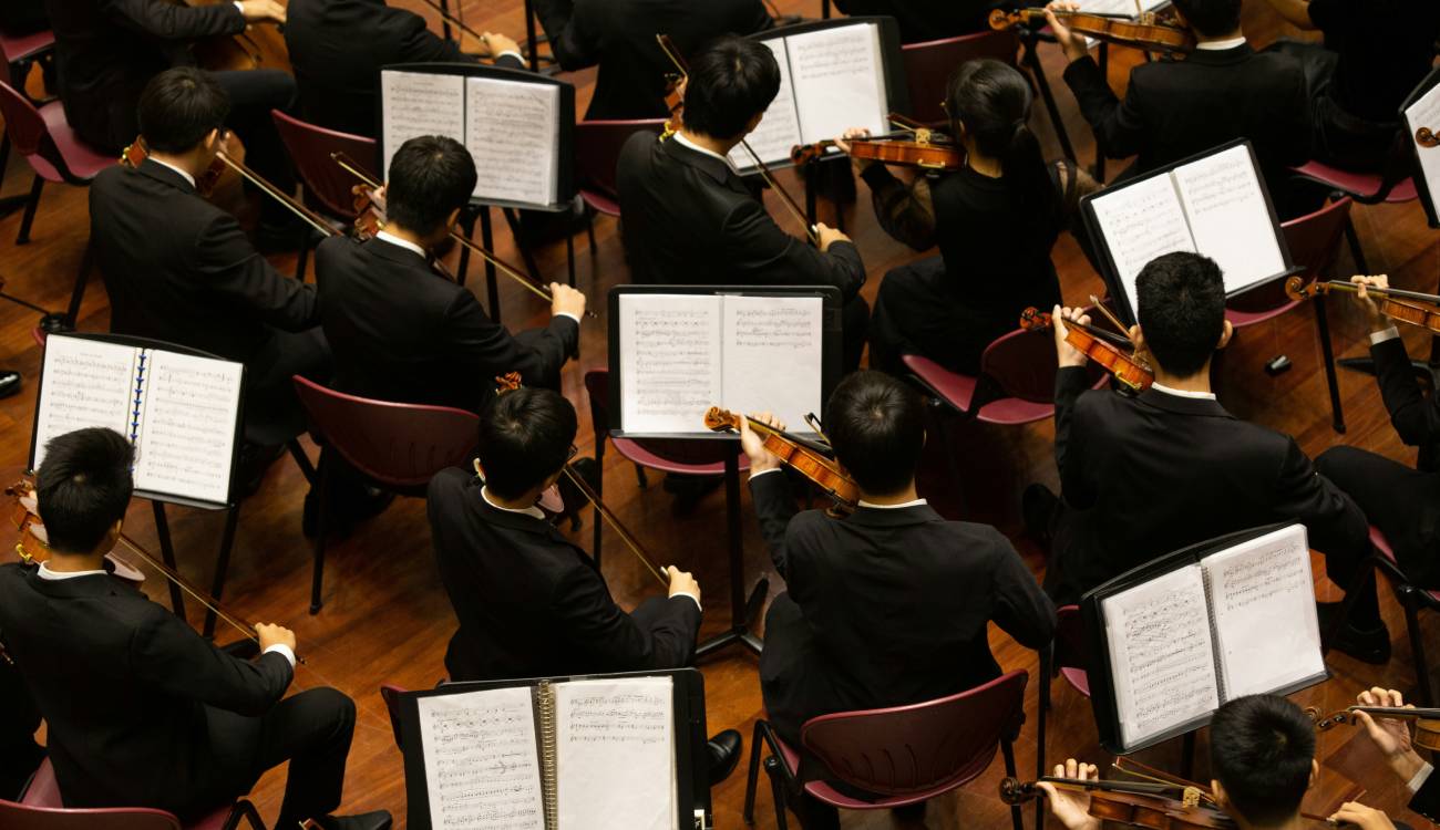 sindrome hombre orquesta