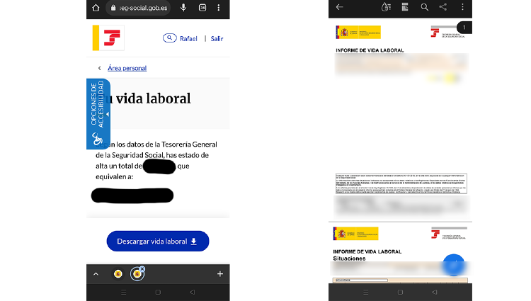 vida laboral vida laboral
