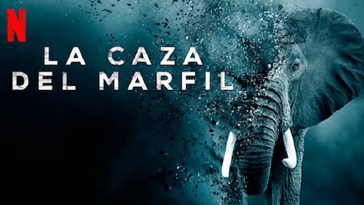 Mejores series y documentales para la cuarentena en Netflix Mejores series y documentales para la cuarentena en Netflix