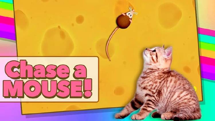 Las mejores apps para gatos y perros gratis en tu móvil Las mejores apps para gatos y perros gratis en tu móvil