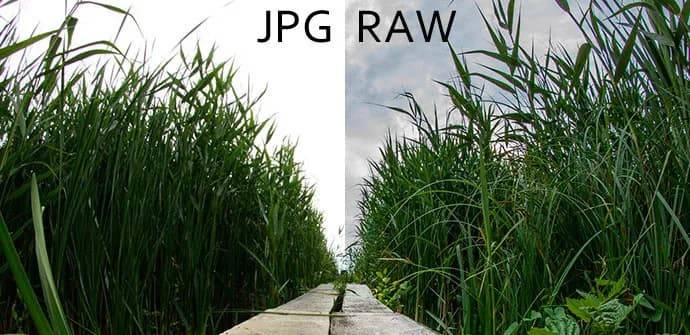 ¿Es útil el formato RAW en los móviles? Todo lo que debes saber ¿Es útil el formato RAW en los móviles? Todo lo que debes saber