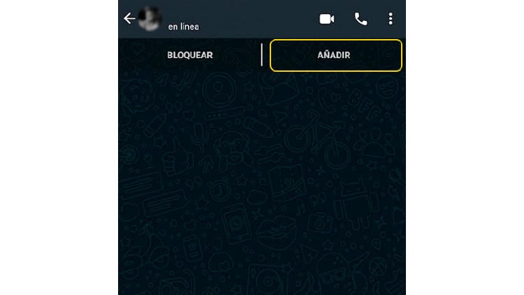 nuevo contacto whatsapp nuevo contacto whatsapp