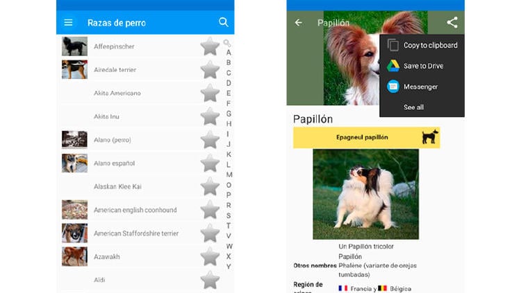 informacion perros informacion perros