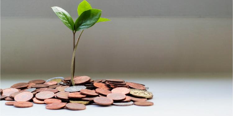 planta con liquidez y solvencia Liquidez y solvencia diferencias