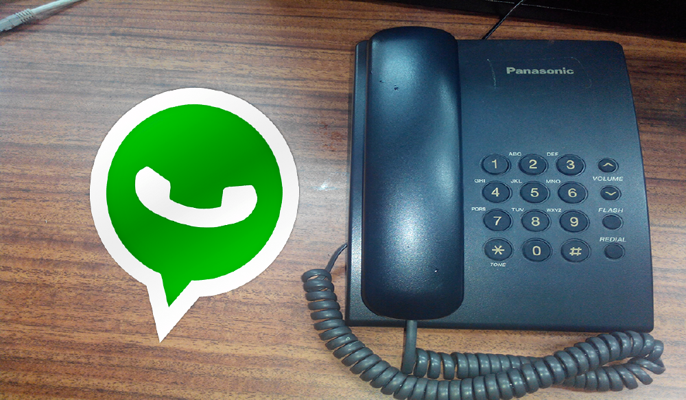 fijo whatsapp