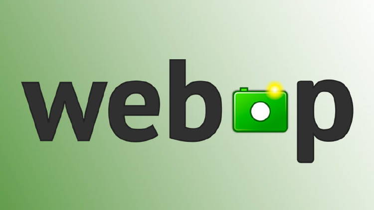 logo-webp logo-webp