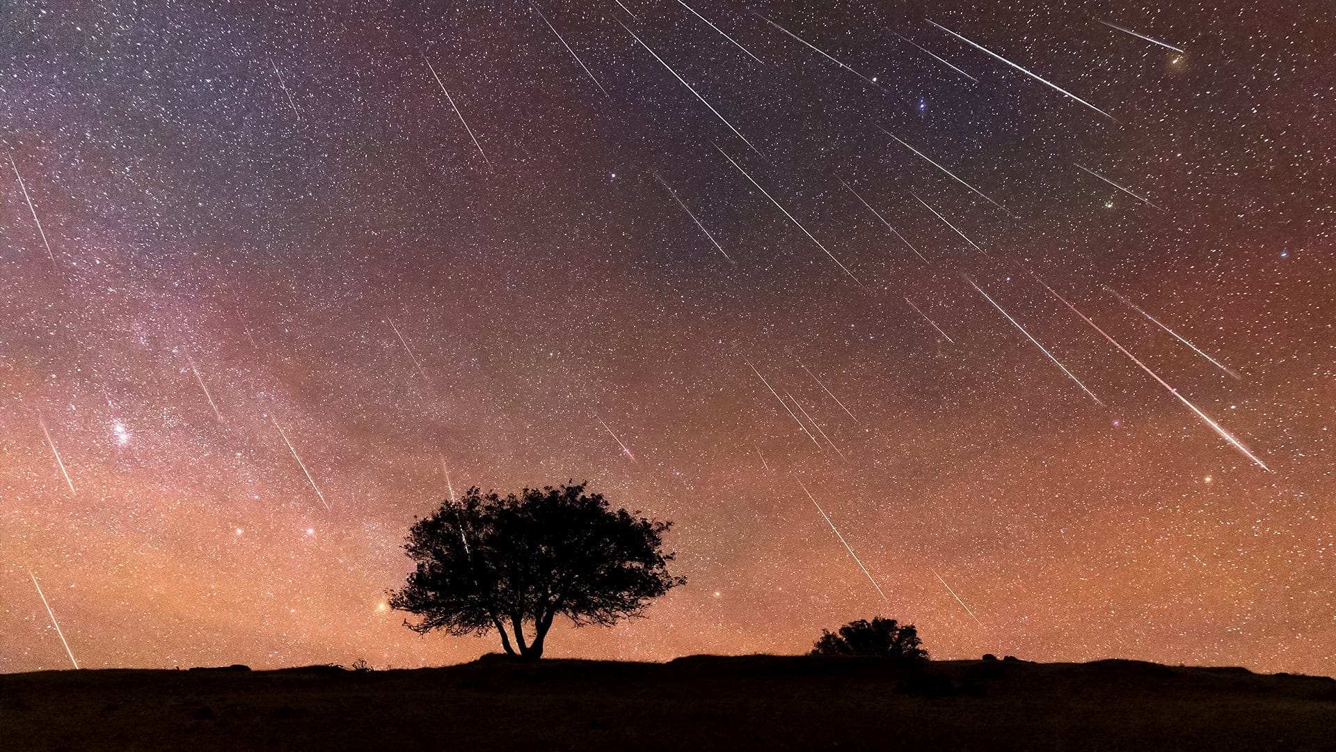perseidas 2026