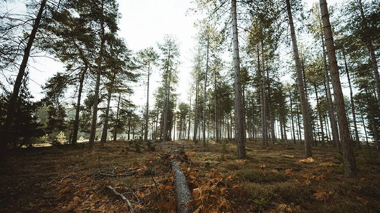 foto-gran-angular foto-gran-angular