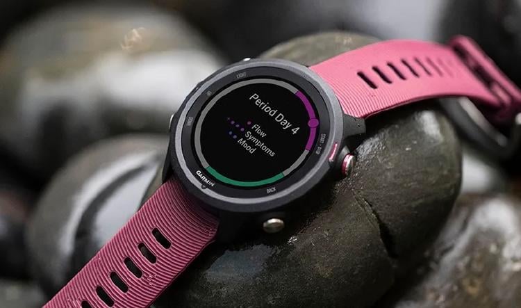 Garmin Forerunner 245 Garmin Forerunner 245