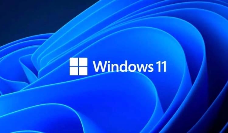 windows 11 windows 11