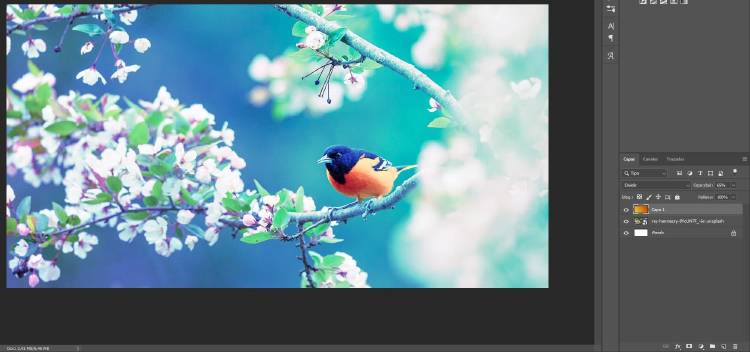 capas photoshop 2 capas photoshop 2