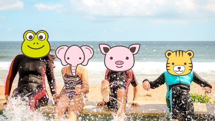 filtros animales apps