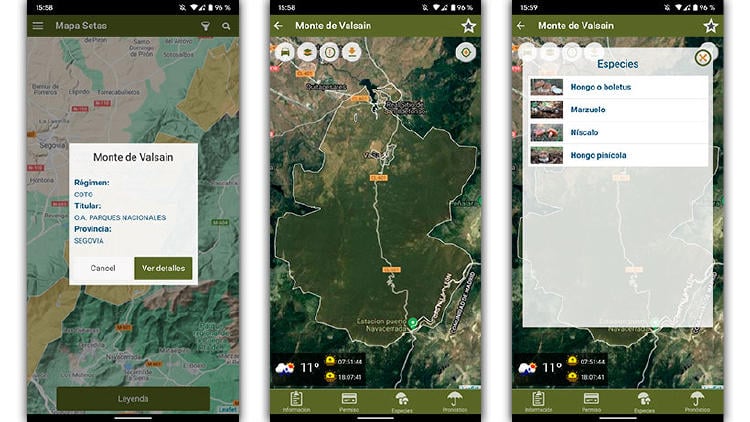 apps cotos de setas apps cotos de setas
