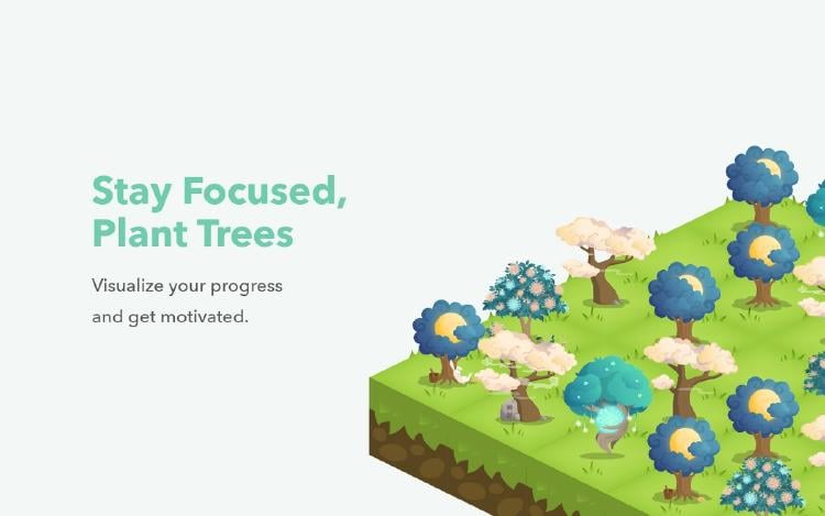 forest forest