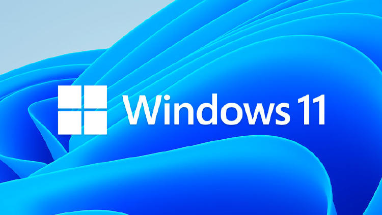 windows 11 windows 11