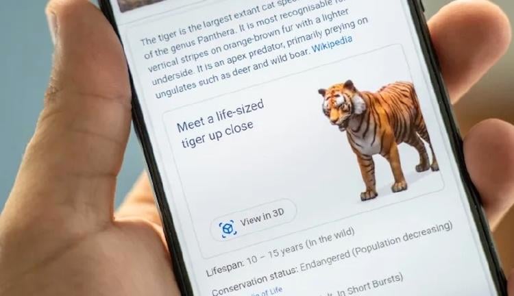 animales RA1 animales RA