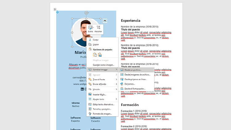 cambiar foto plantilla curriculum