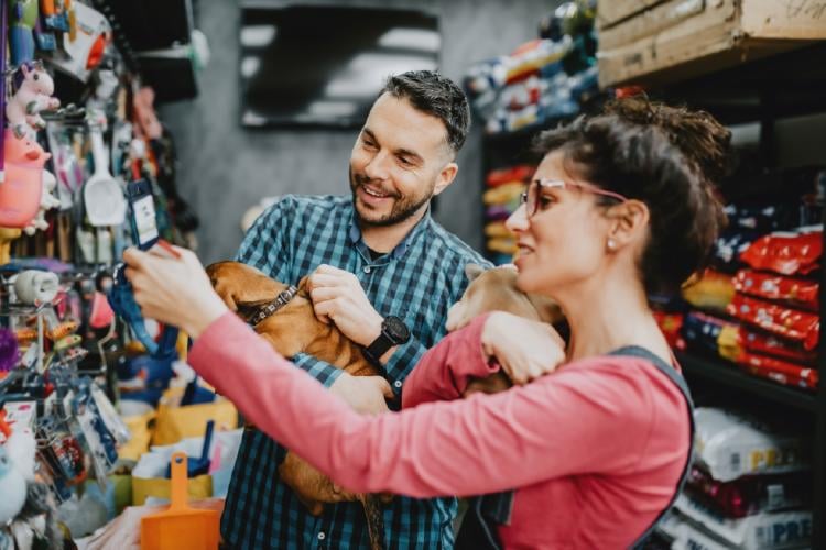 perro tienda perro tienda