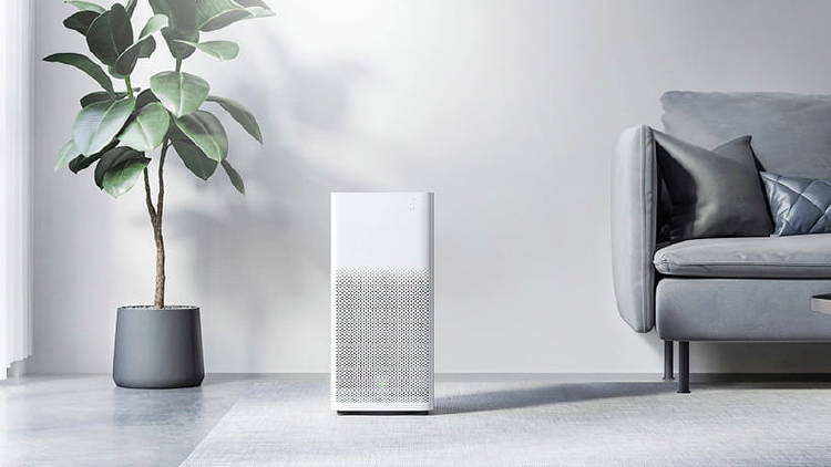 Gadgets para desinfectar y limpiar la casa sin esfuerzo Gadgets para desinfectar y limpiar la casa sin esfuerzo