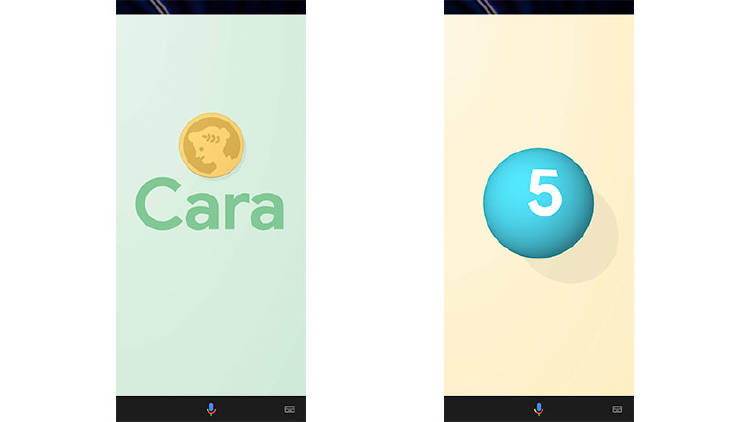 google-assistant-sortear google-assistant-sortear