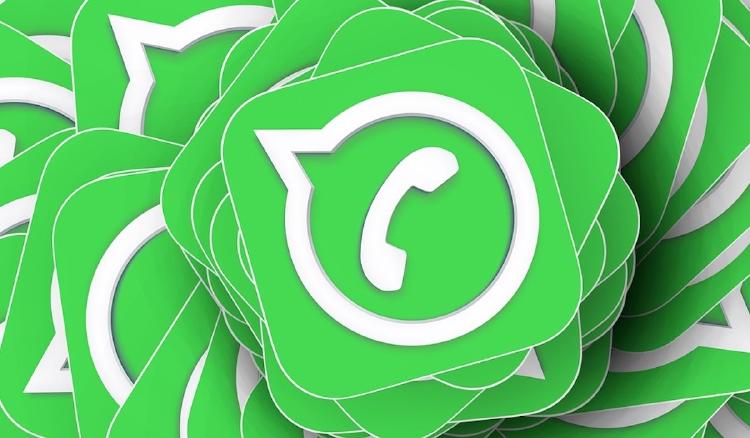 stickers whatsapp stickers whatsapp