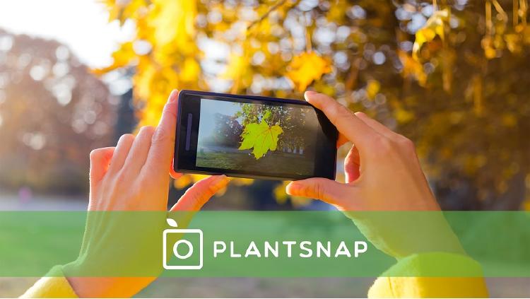plantsnap app plantsnap app