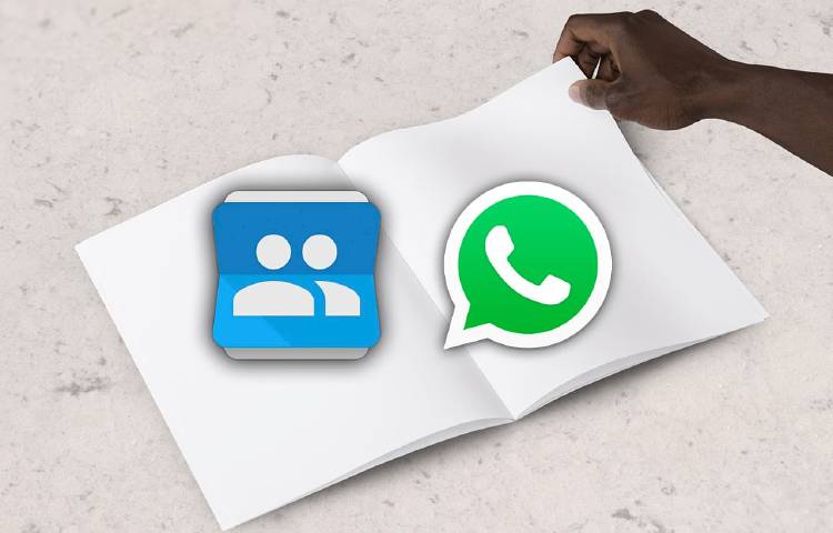 contactos whatsapp contactos whatsapp